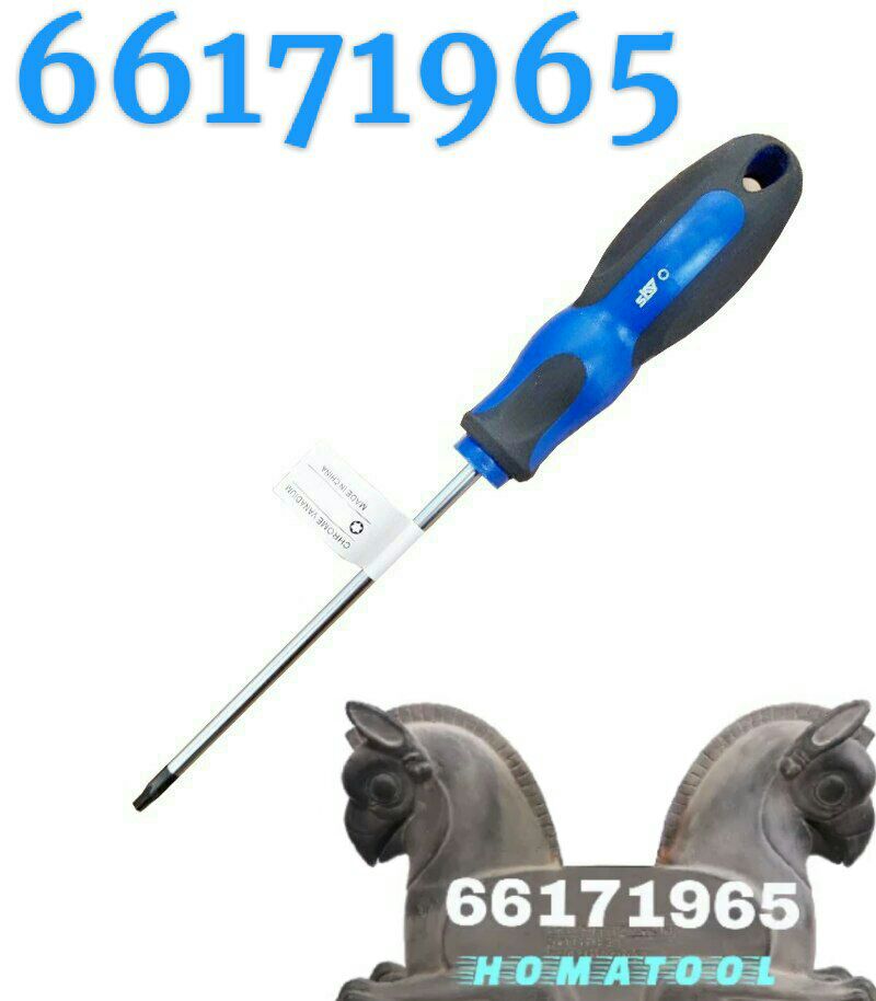 پیچ گوشتی تی 15 اسکای